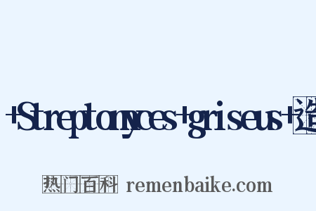 +Streptomyces+griseus+造句是什么意思的图片